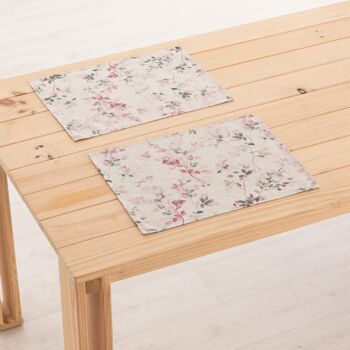 Set de table en lin 0120-278 - 45x35 cm (2 pcs.)   1