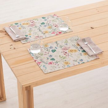 Set de table en lin 0120-279 - 45x35 cm (2 pcs.)   3