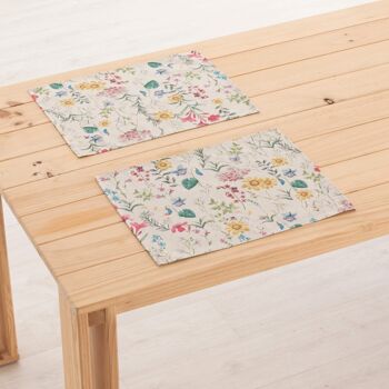 Set de table en lin 0120-279 - 45x35 cm (2 pcs.)   8