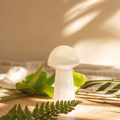 Selenite Mushroom