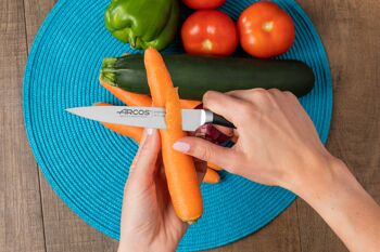 Couteau à légumes transparent 5