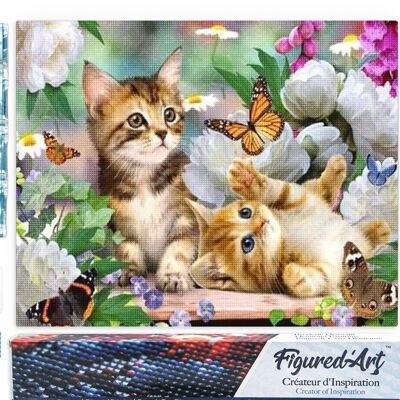 Kit de bordado de diamantes 5D - Pintura de diamantes DIY gatitos y mariposas