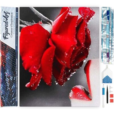Kit de Broderie Diamant 5D - Diamond Painting DIY Bouche et Rose rouge