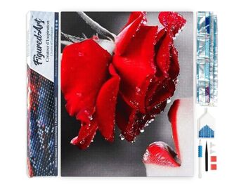 Kit de Broderie Diamant 5D - Diamond Painting DIY Bouche et Rose rouge 1