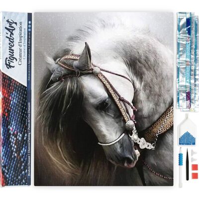 5D-Diamant-Stickset – DIY-Diamantgemälde „Elegantes graues Pferd“.