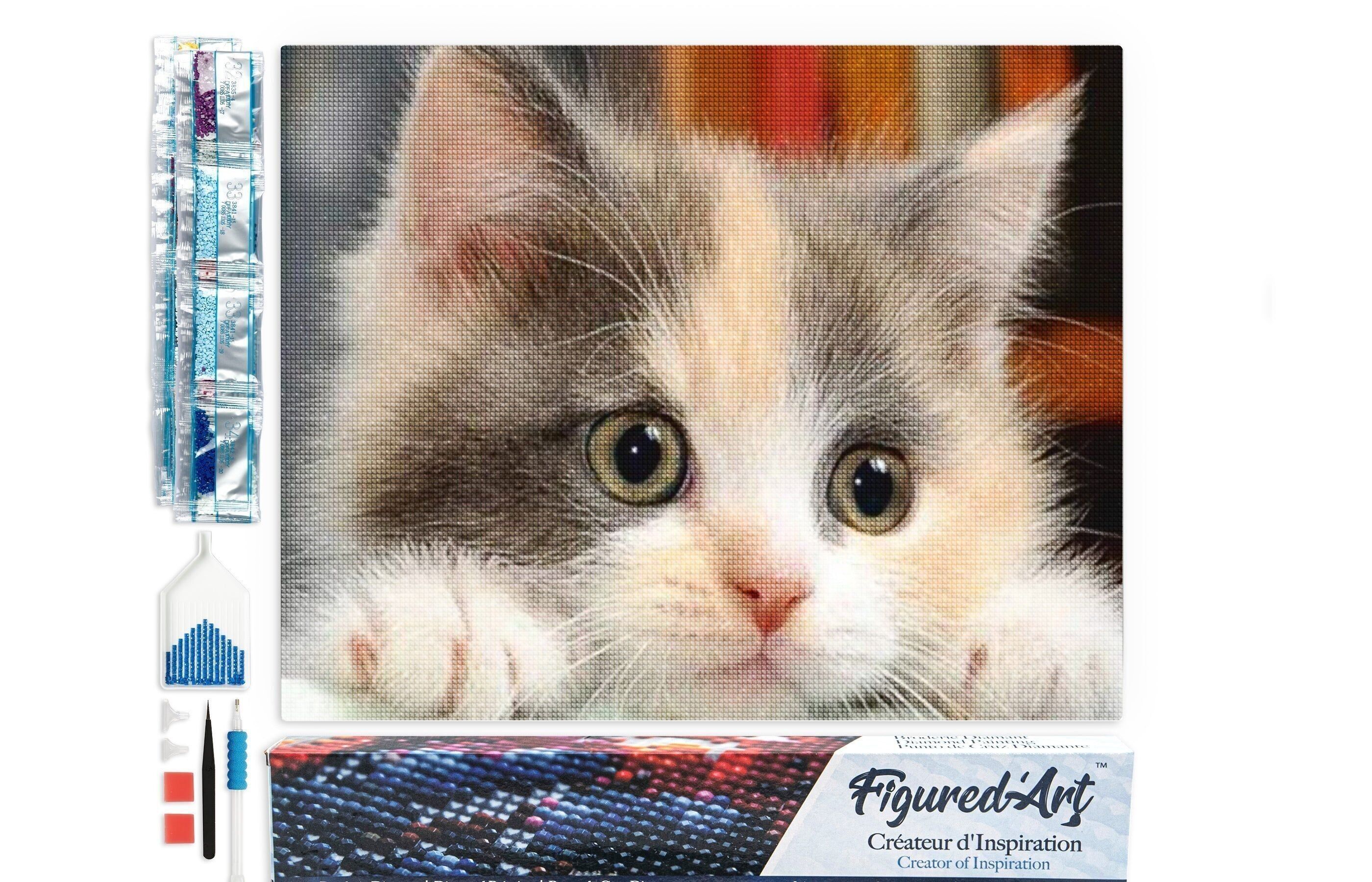 Kit ricamo diamante 5D - Pittura diamante fai da te Piccolo gatto curioso