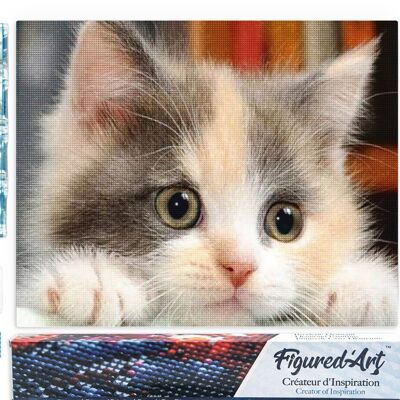 5D Diamond Embroidery Kit - Diamond Painting DIY Little Curious Cat