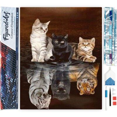 5D Diamond Embroidery Kit - Diamond Painting DIY Reflections Kittens