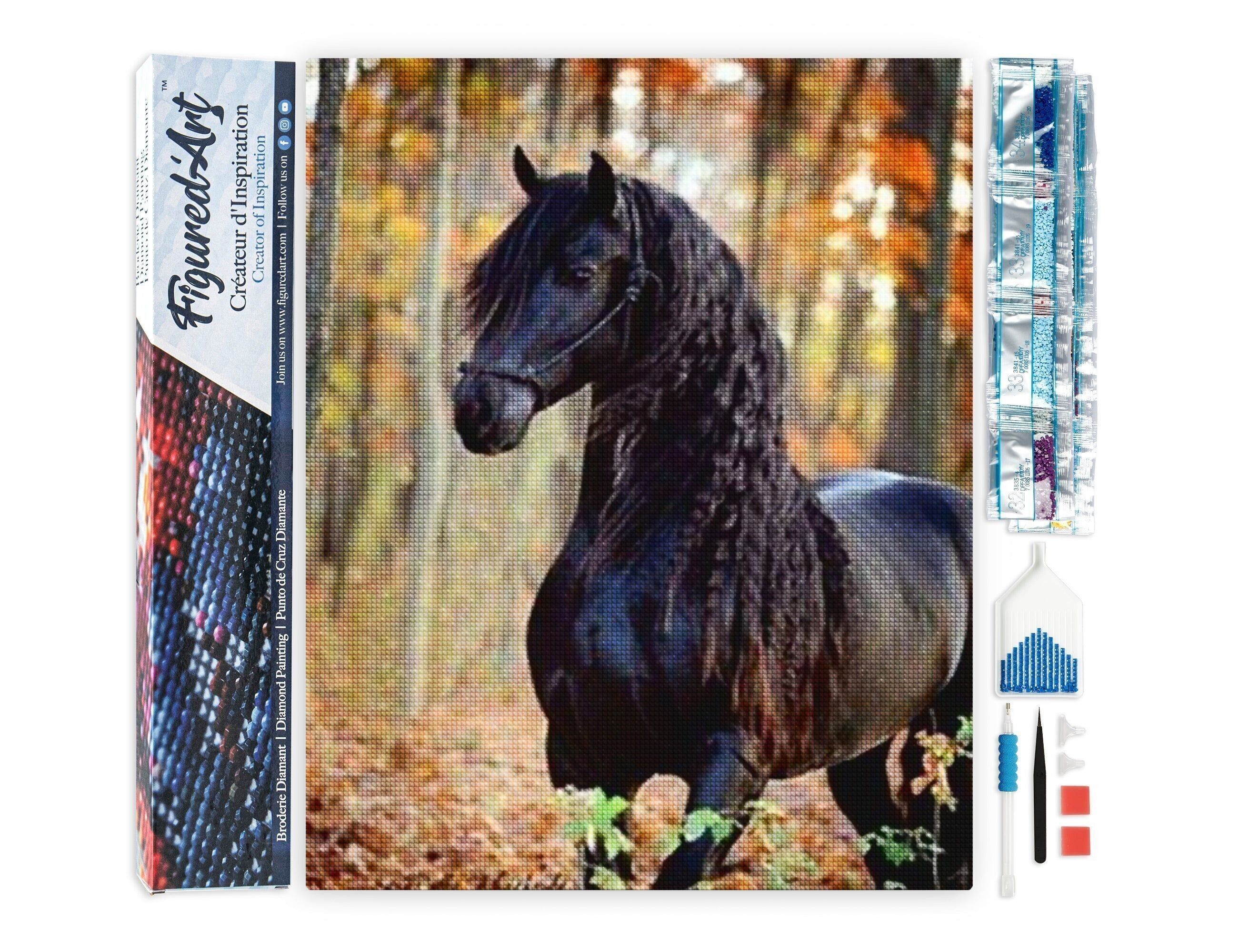 Kit ricamo diamante 5D - Pittura diamante fai da te Black Mare