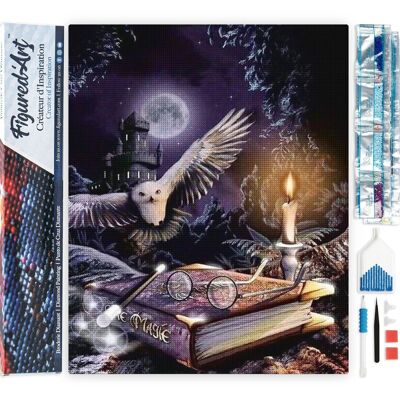 5D Diamond Embroidery Kit - DIY Diamond Painting Owl in the Night