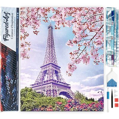 Kit de bordado de diamantes 5D - Pintura de diamantes DIY Torre Eiffel en primavera