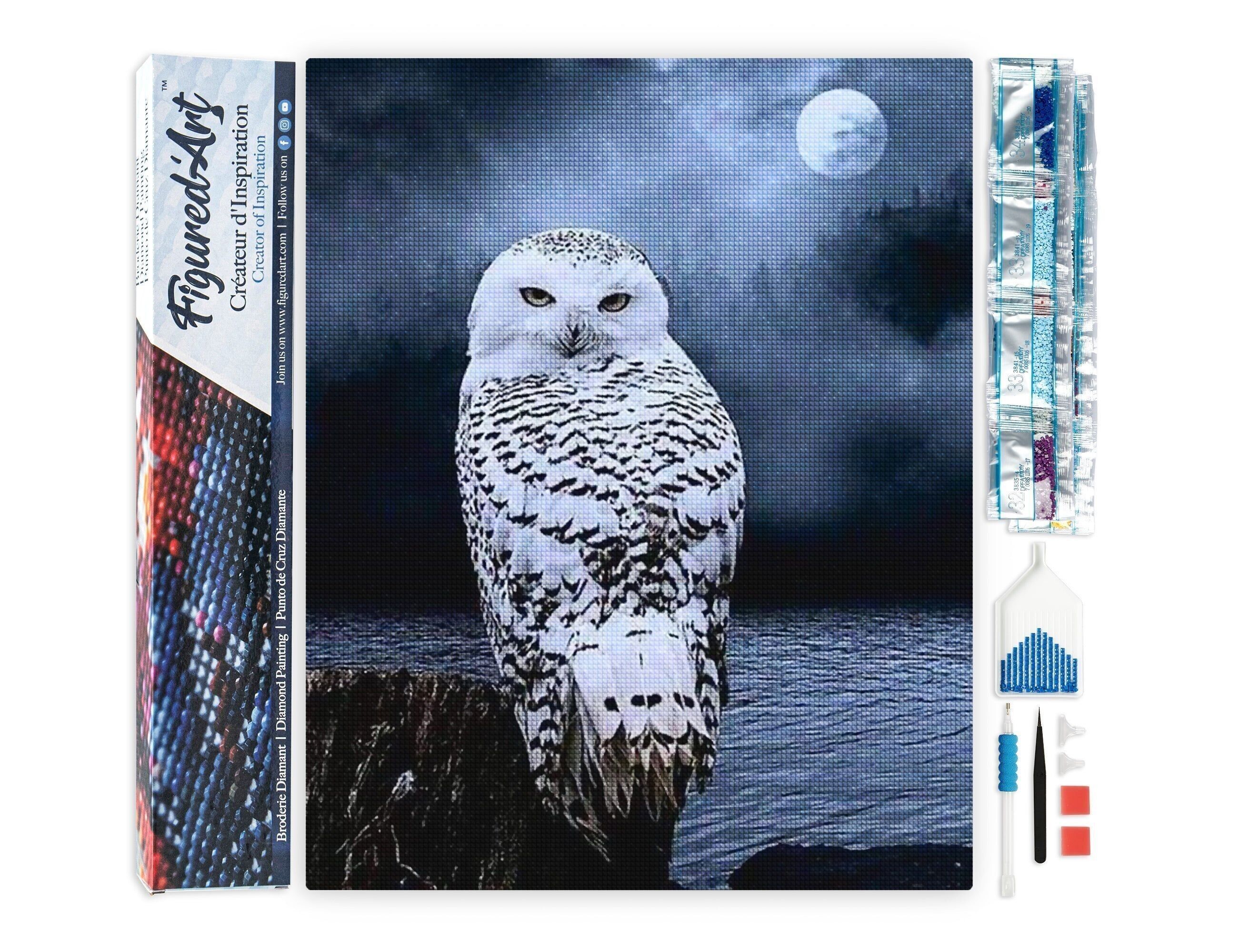 Kit de bordado de diamantes 5D - Pintura de diamantes DIY Búho blanco