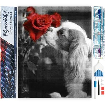 5D-Diamant-Stickset – DIY-Diamantgemälde Hund und Rose