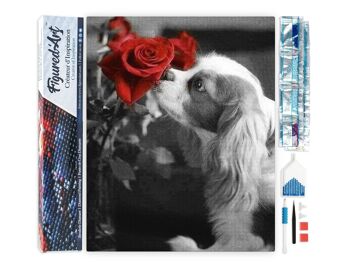 Kit de Broderie Diamant 5D - Diamond Painting DIY Chien et Rose 1