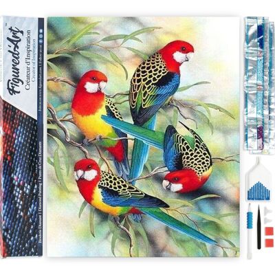 5D Diamond Embroidery Kit - DIY Diamond Painting Parrots on Branch