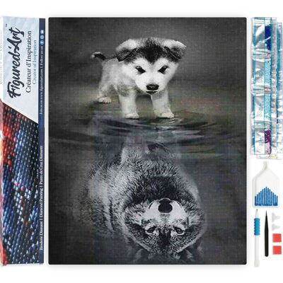 Kit de bordado de diamantes 5D - Pintura de diamantes DIY Reflejo de perro y lobo