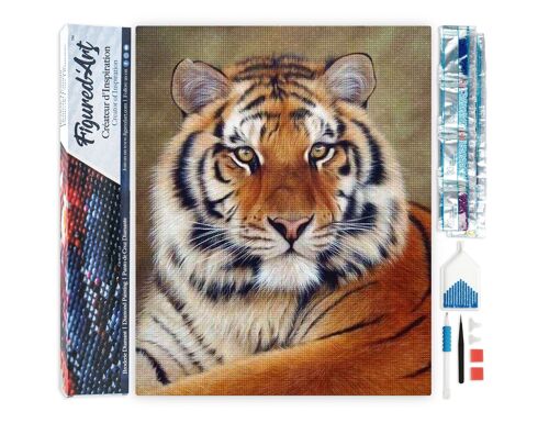 Kit de Broderie Diamant 5D - Diamond Painting DIY Regard de Tigre