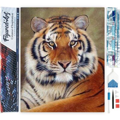 Kit de Broderie Diamant 5D - Diamond Painting DIY Regard de Tigre