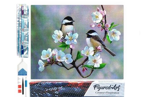 Kit de Broderie Diamant 5D - Diamond Painting DIY Petits Oiseaux et Fleurs Blanches