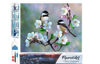 Kit de Broderie Diamant 5D - Diamond Painting DIY Petits Oiseaux et Fleurs Blanches 1