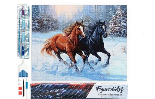 Kit de Broderie Diamant 5D - Diamond Painting DIY Deux Chevaux en Hiver