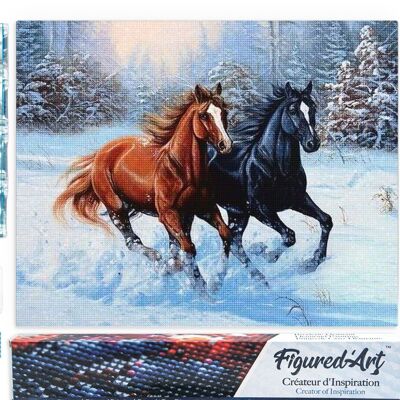 5D Diamond Embroidery Kit - DIY Diamond Painting Two Horses in Winter