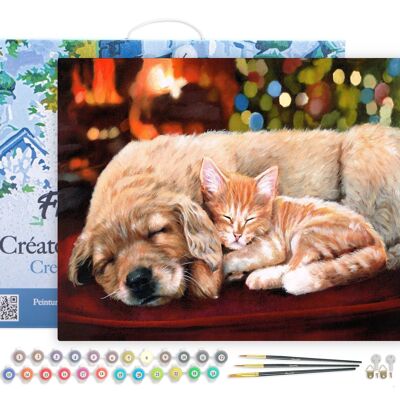Paint by Number DIY Kit - Nap with friends - canvas stretched on wooden frame