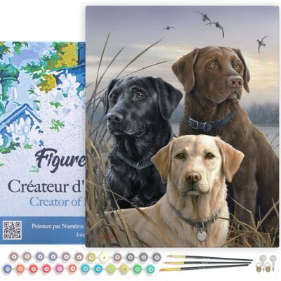 Paint by Number DIY Kit - Labrador Trio - stretched canvas on wooden frame