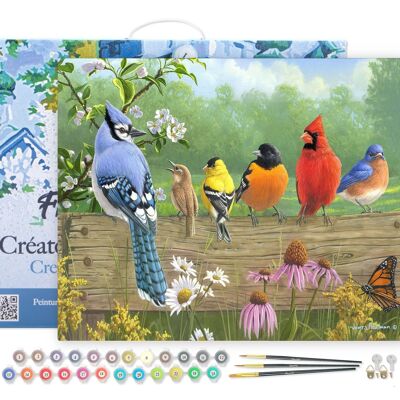 Paint by Number DIY Kit - Birds on the fence - canvas stretched on wooden frame