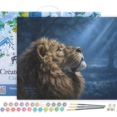 Paint by Number DIY Kit - Lion in the Dark - canvas stretched on wooden frame