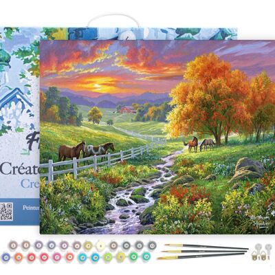 Paint by Number DIY Kit - Sunny Meadow - stretched canvas on wooden frame