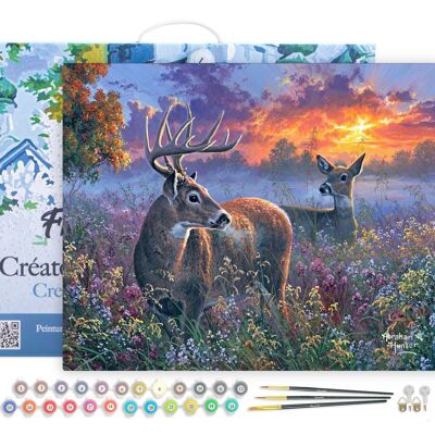 Paint by Number DIY Kit - Couple of deer - canvas stretched on wooden frame