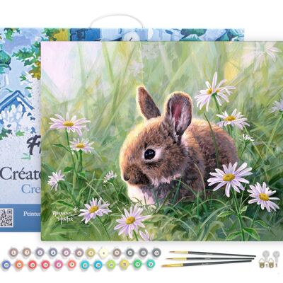 Malen-nach-Zahlen-DIY-Set – Kaninchen und Gänseblümchen – gespannte Leinwand auf Holzrahmen