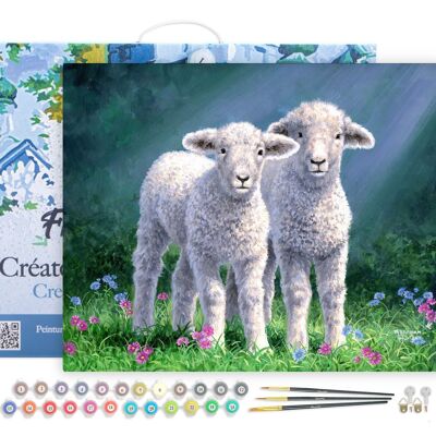 Paint by Number DIY Kit - Couple of sheep - canvas stretched on wooden frame