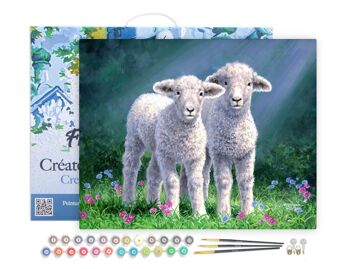 Peinture par Numéro Kit DIY - Couple de moutons - toile tendue sur châssis en bois 1
