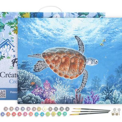 Painting by Number DIY Kit - Turtle on a walk - canvas stretched on wooden frame