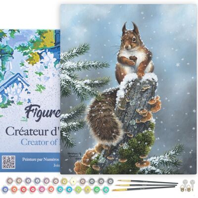 Paint by Number DIY Kit - Perched Squirrel - canvas stretched on wooden frame