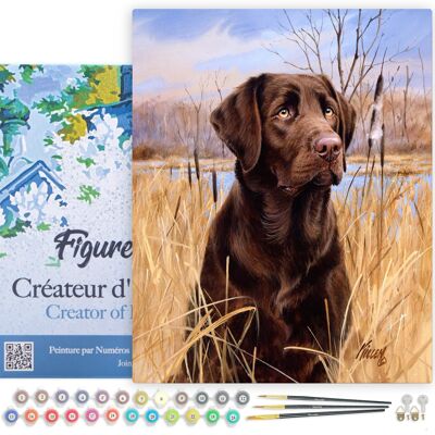 Kit de bricolaje de pintura por número - Perro Labrador - lienzo estirado sobre marco de madera