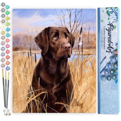 Malen-nach-Zahlen-DIY-Set – Labrador-Hund – gerollte Leinwand