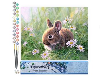 Peinture par Numéro Kit DIY - Lapin et marguerites - Toile roulée 1