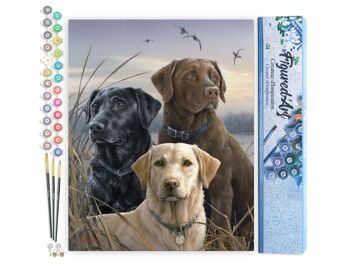 Peinture par Numéro Kit DIY - Trio de Labrador - Toile roulée 1