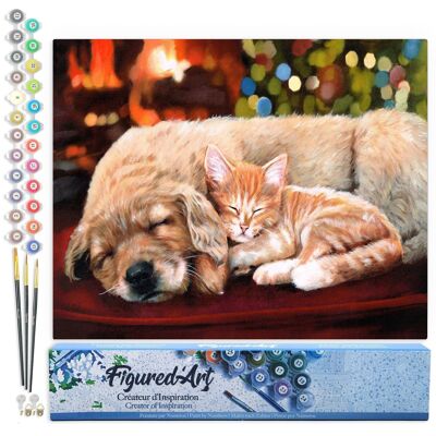 Paint by Number DIY Kit - Nap with friends - Rolled canvas