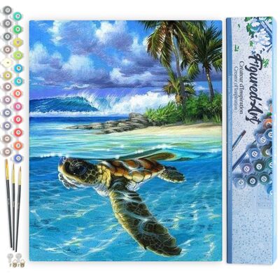 Paint by Number DIY Kit - Relaxed Turtle - Rolled Canvas