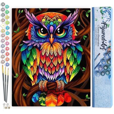 Paint by Number DIY Kit - Colorful Owl - Rolled Canvas
