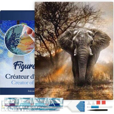 Kit ricamo diamante 5D - Pittura diamante fai da te Elefante nella savana tela 40x50 cm tesa su telaio