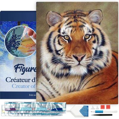Kit de bordado de diamantes 5D - Pintura de diamantes DIY Ojos de tigre 40x50 cm lienzo estirado sobre marco