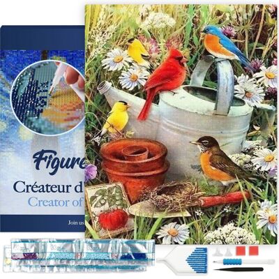 5D Diamond Embroidery Kit - DIY Diamond Painting Birds in the Garden 40x50cm canvas stretched on frame