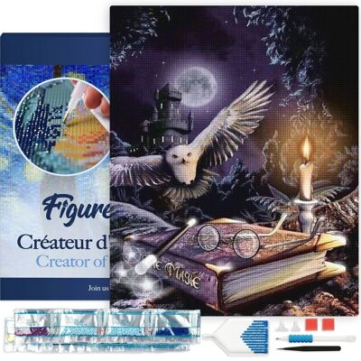 Kit de Broderie Diamant 5D - Diamond Painting DIY Chouette dans la Nuit 40x50cm toile tendue sur châssis