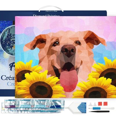 Kit de Broderie Diamant 5D - Diamond Painting DIY Chien Polygon Art 40x50cm toile tendue sur châssis