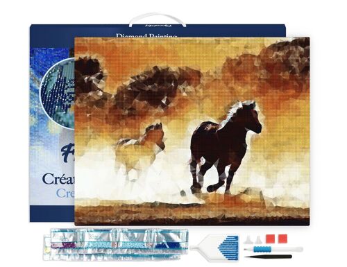 Kit de Broderie Diamant 5D - Diamond Painting DIY Chevaux en action 40x50cm toile tendue sur châssis